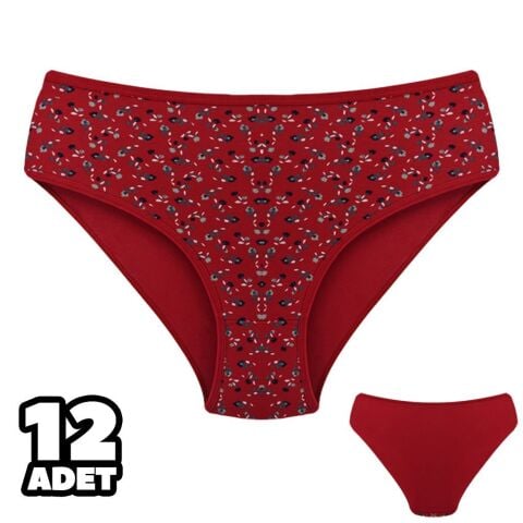 Dondeza 201-160 Desenli Bayan Ara Beden Külot 12'li