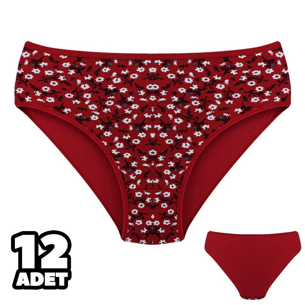 Dondeza 201-161 Desenli Bayan Ara Beden Külot 12'li